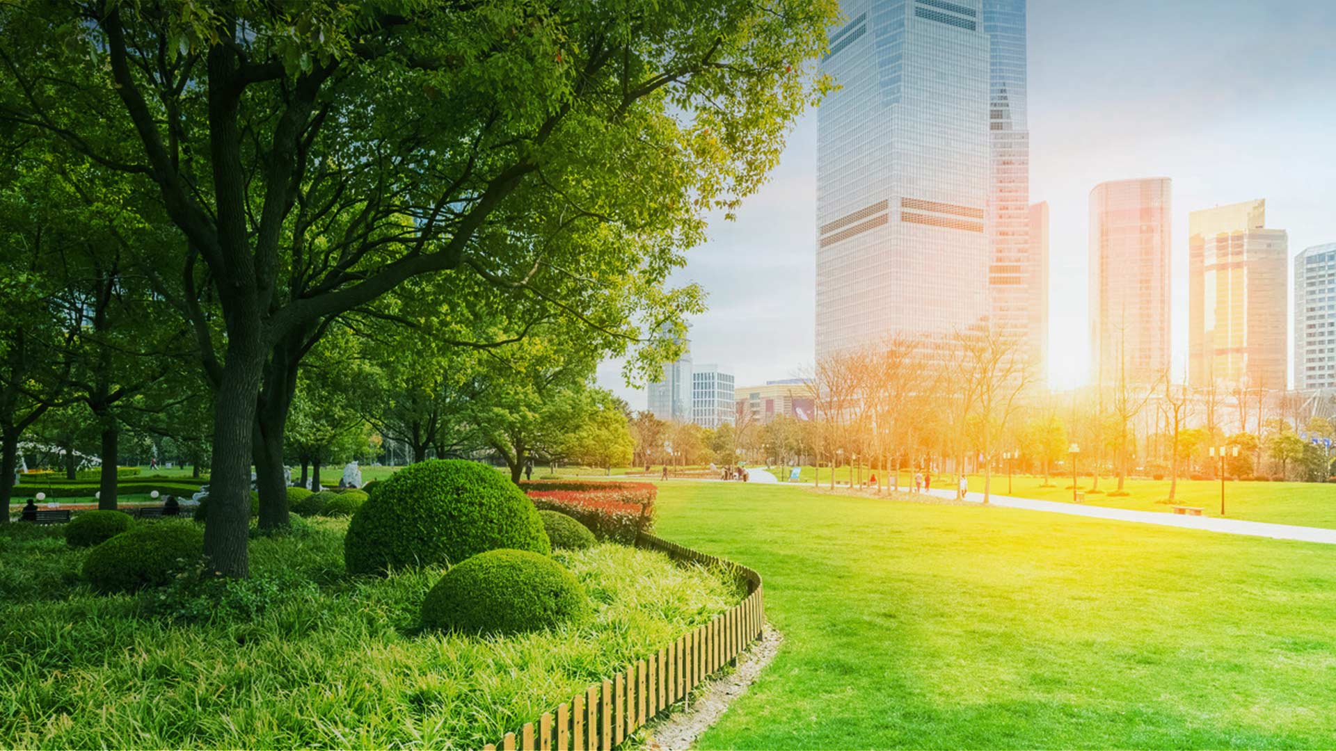 專(zhuān)業(yè)生產(chǎn)安裝電鍋爐23年